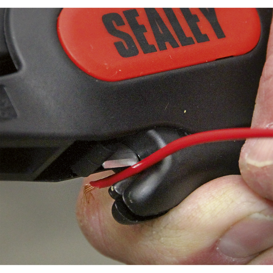 6/12/24V Circuit Tester with Test Light