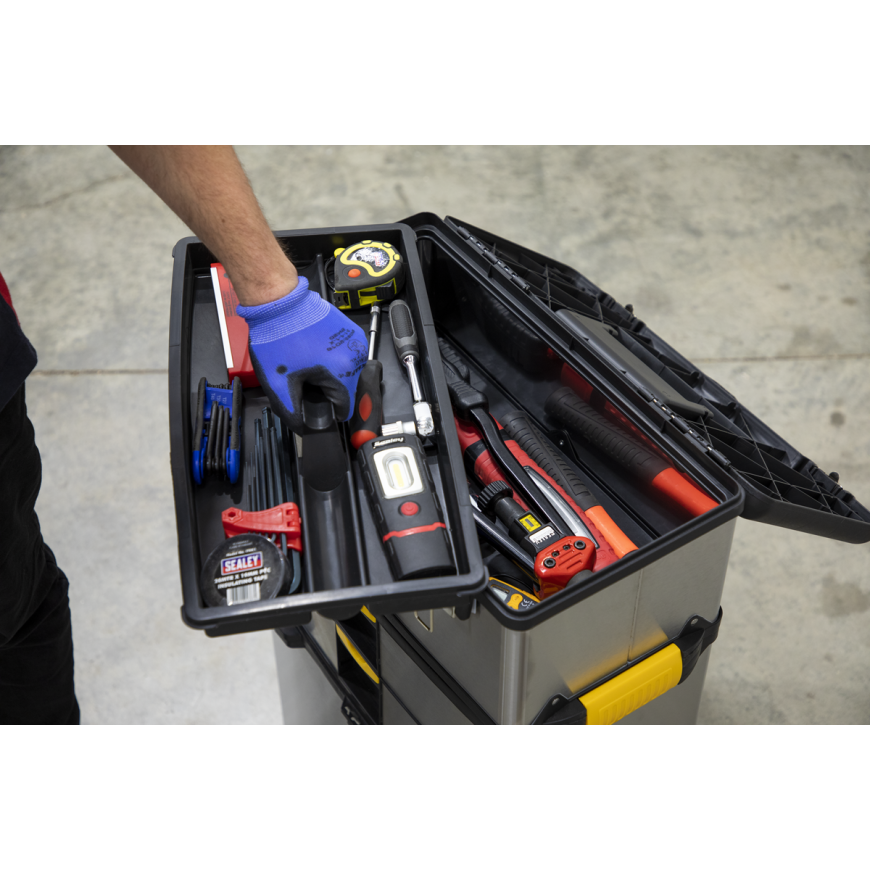 Mobile Toolbox with Tote Tray & Removable Storage Box