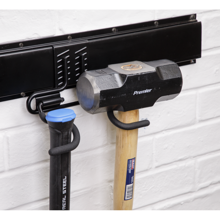 Wall Mountable Storage Rail