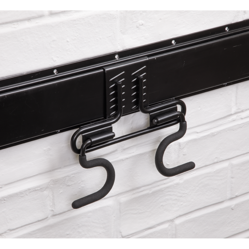 Double Prong Storage Hook