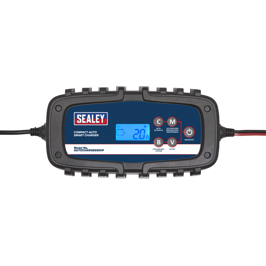 12V Ring Terminal Battery Indicator Cable