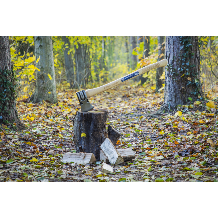 Horizontal Foot Operated Log Splitter