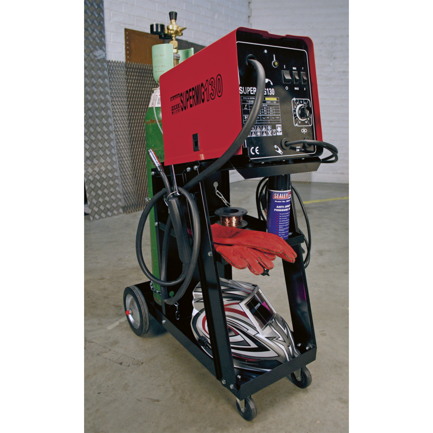 150A Professional Gas/No-Gas MIG Welder