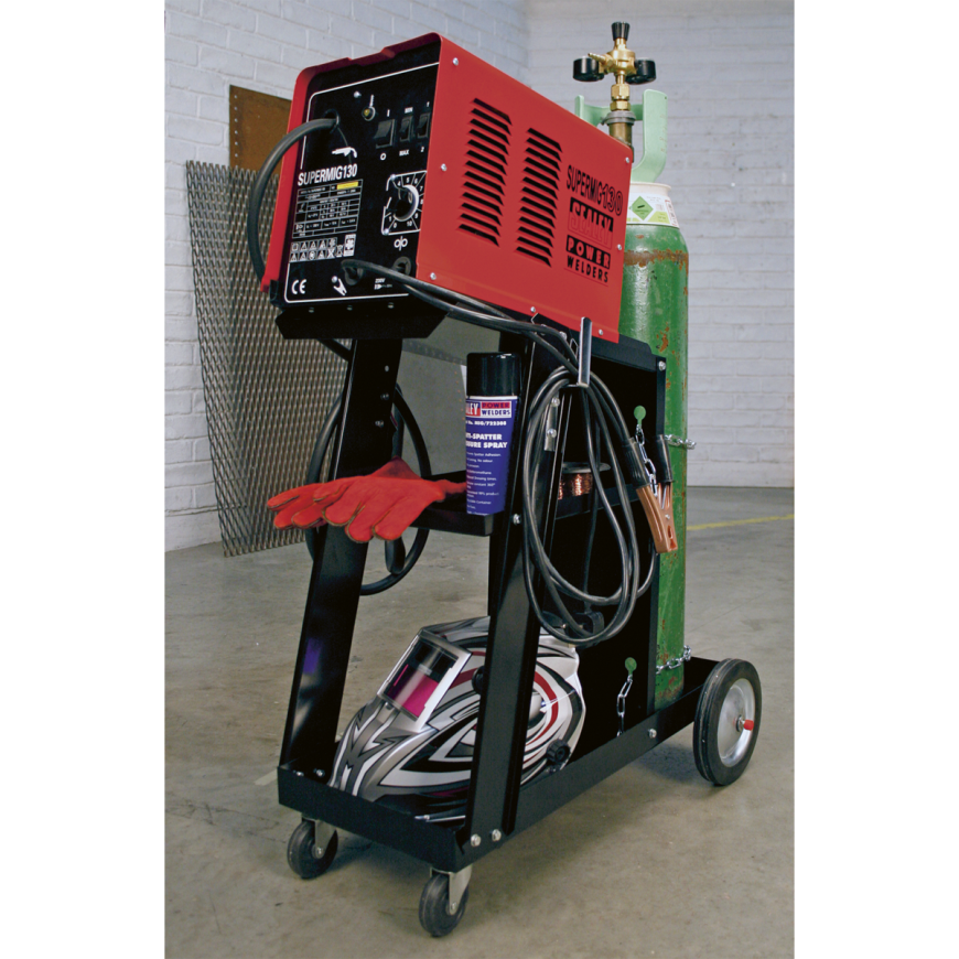 100A No-Gas MIG Welder