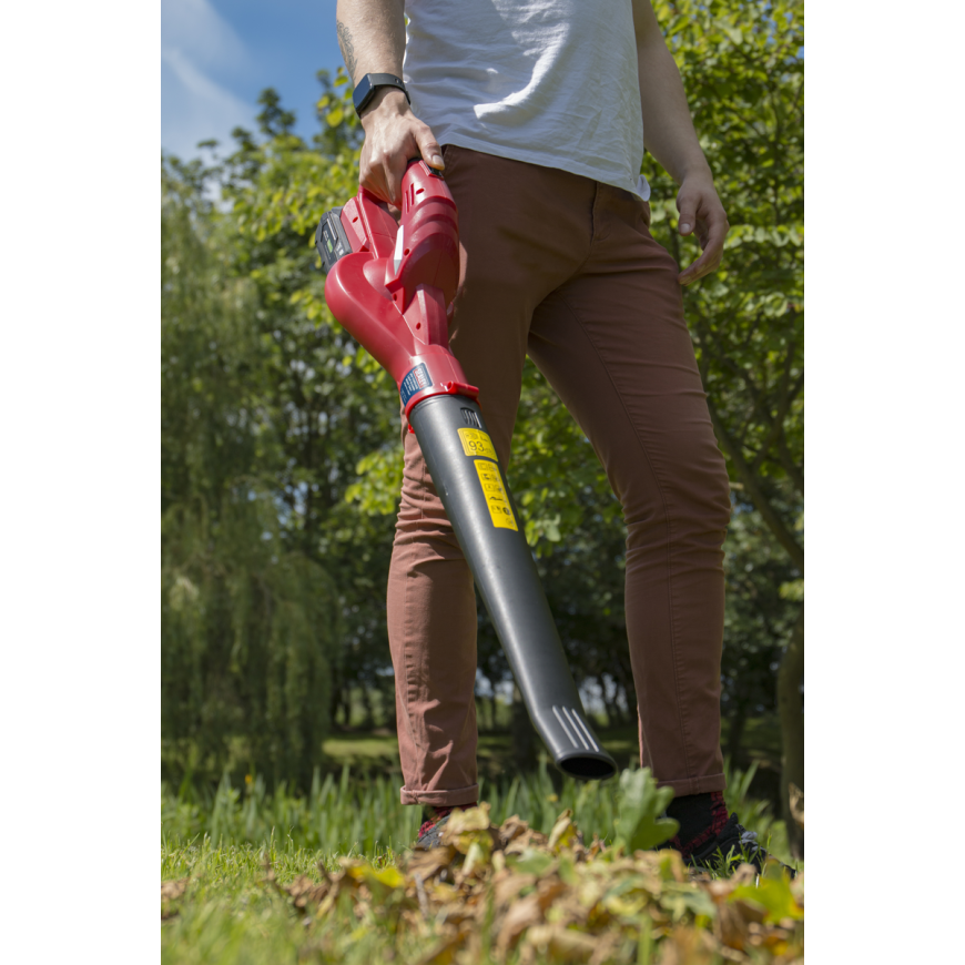 20V SV20 Series Cordless Hedge Trimmer with 4Ah Battery & Charger