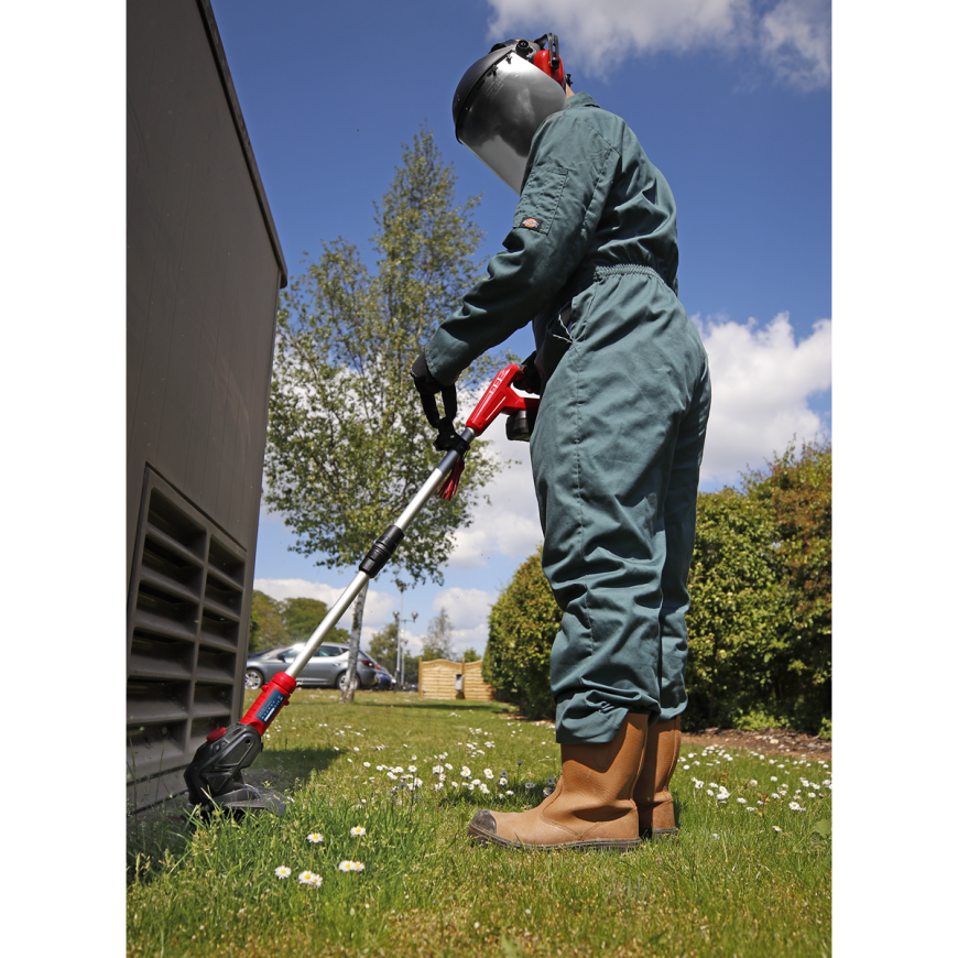 20V SV20 Series Cordless Leaf Blower with 2Ah Battery & Charger