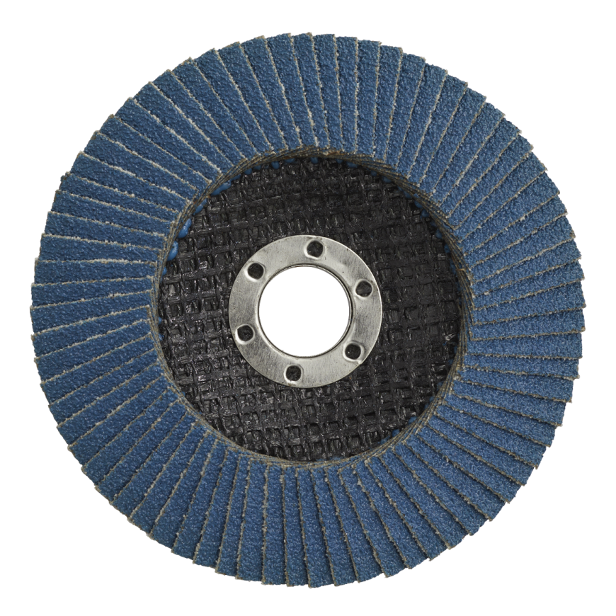 Flap Discs