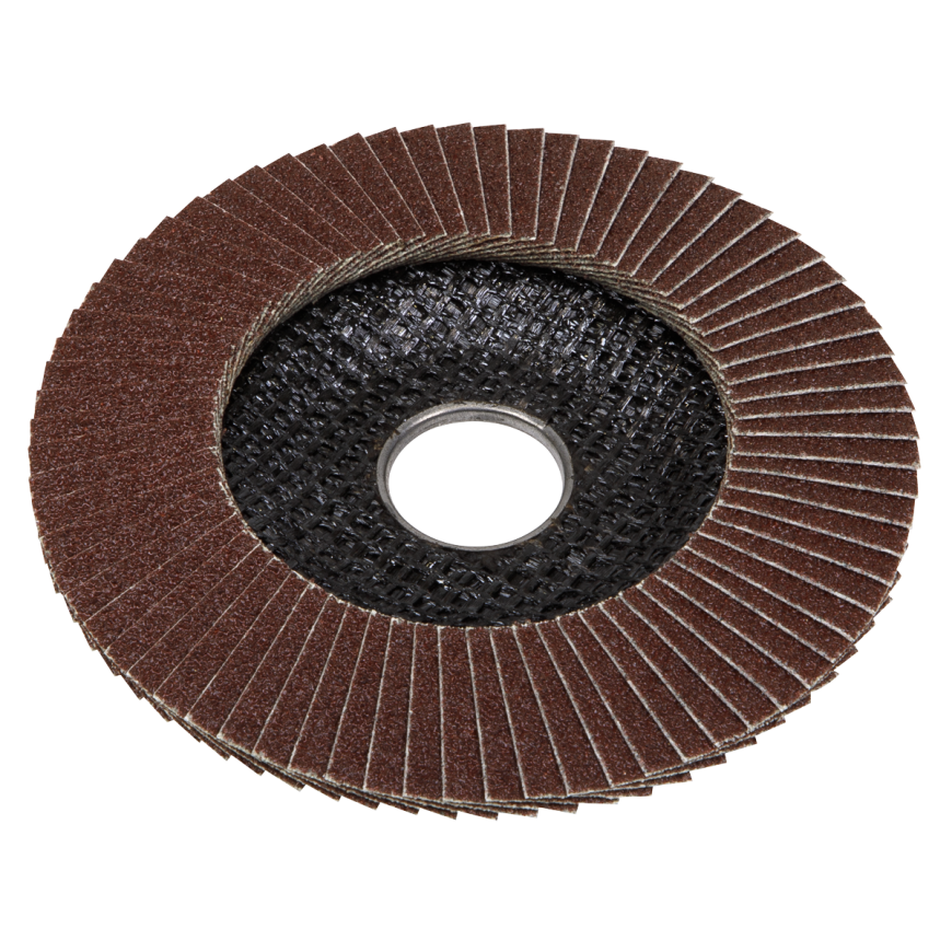 Flap Discs