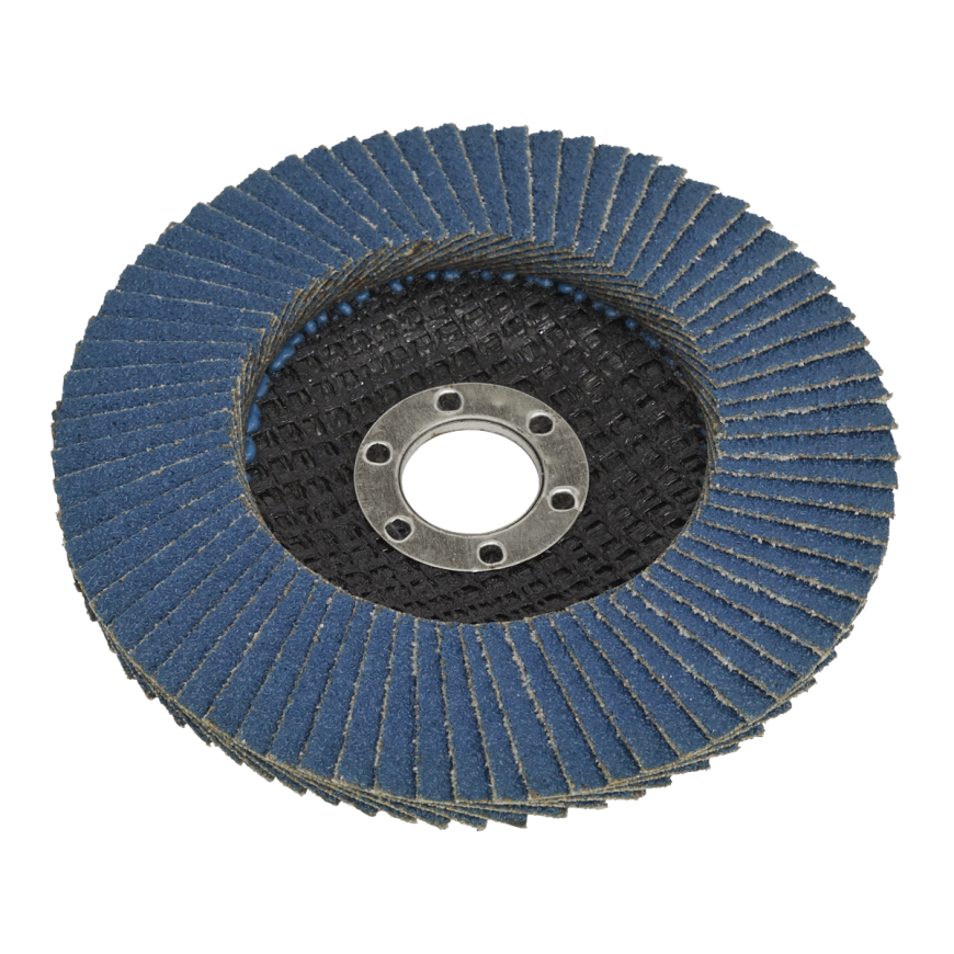 Flap Discs