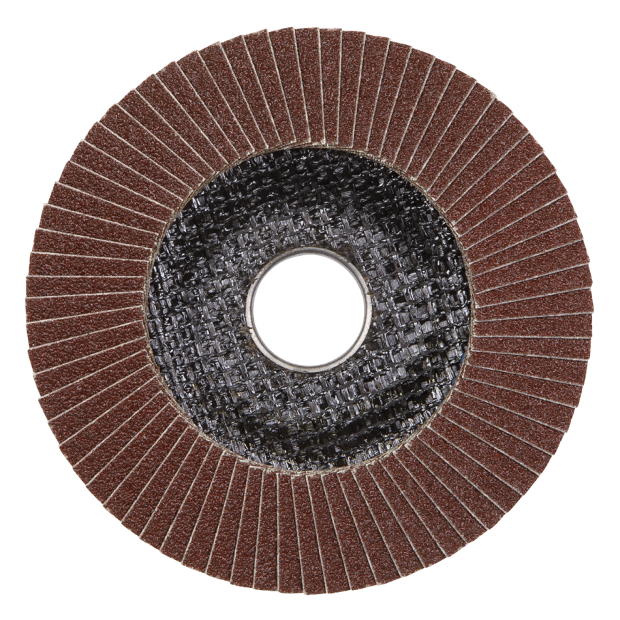 Flap Discs