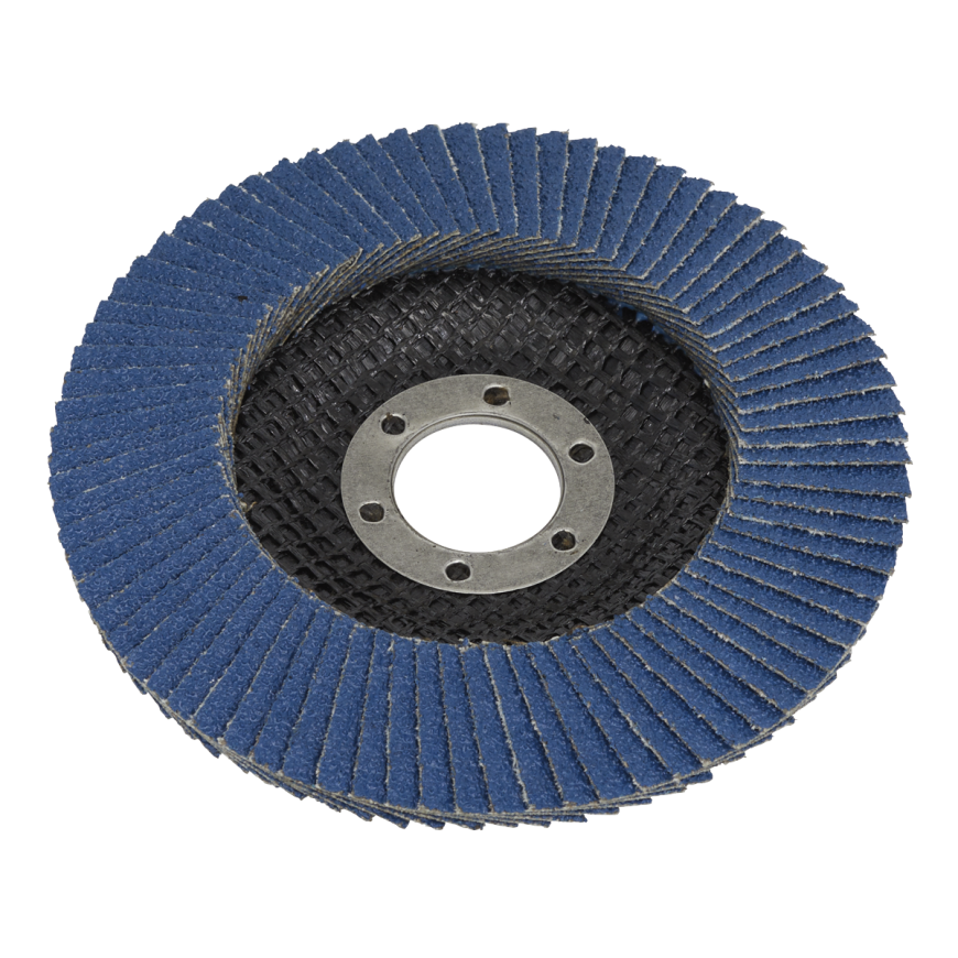 Flap Discs