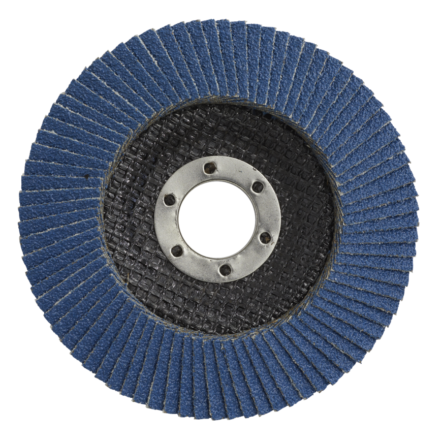 Flap Discs