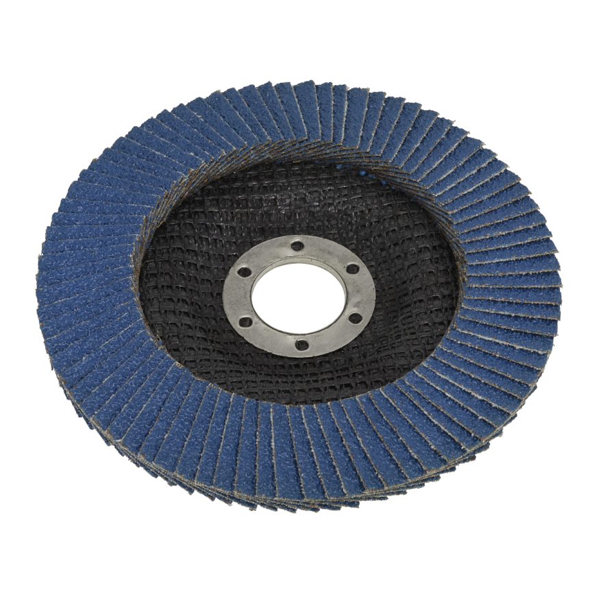 Flap Discs