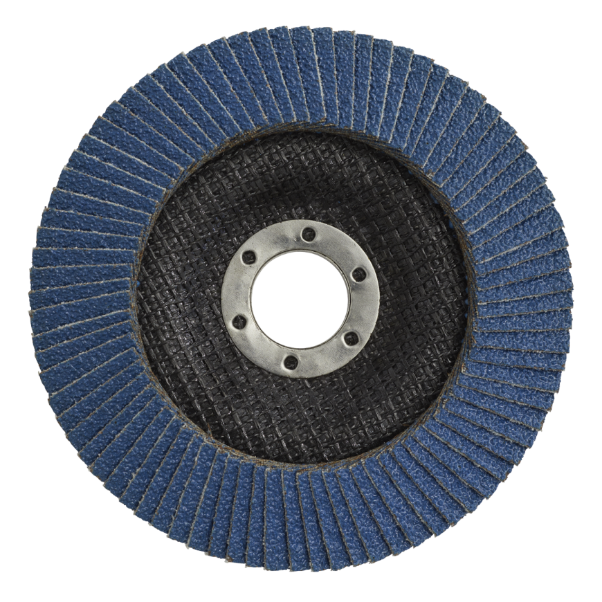 Flap Discs