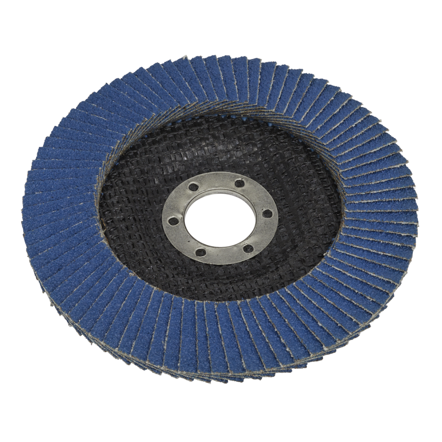 Flap Discs