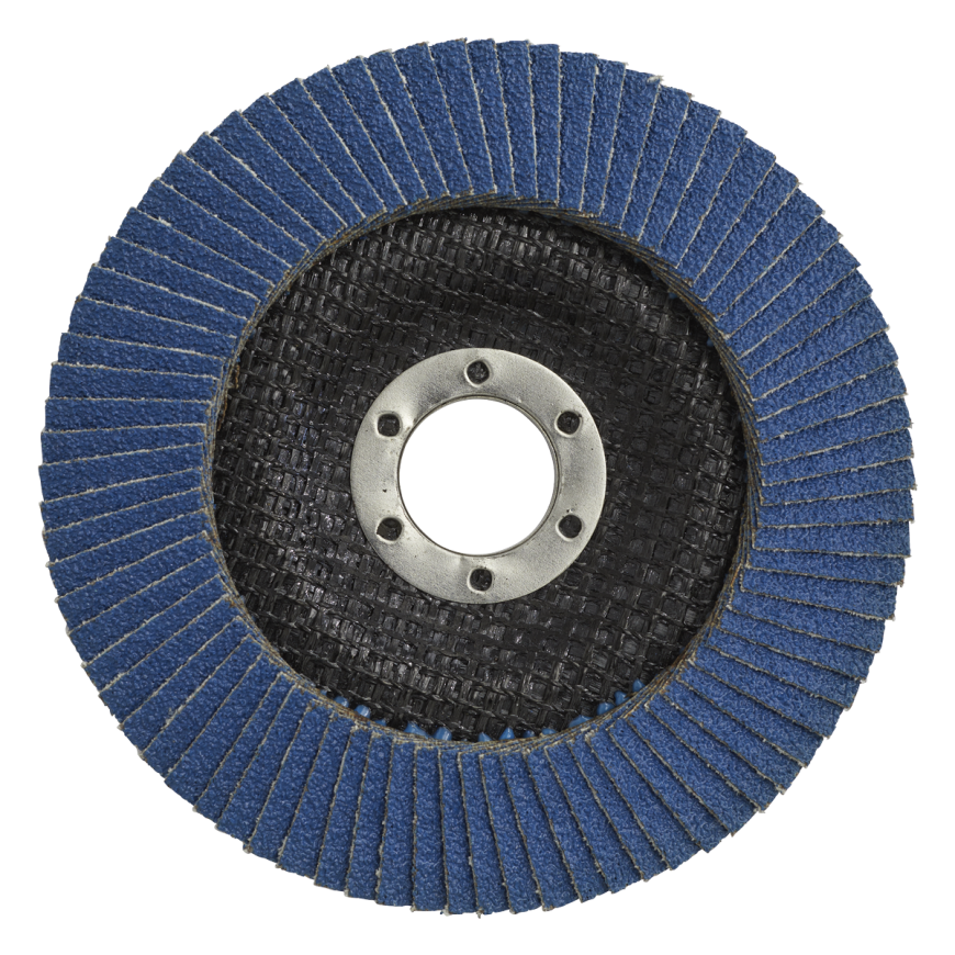 Flap Discs