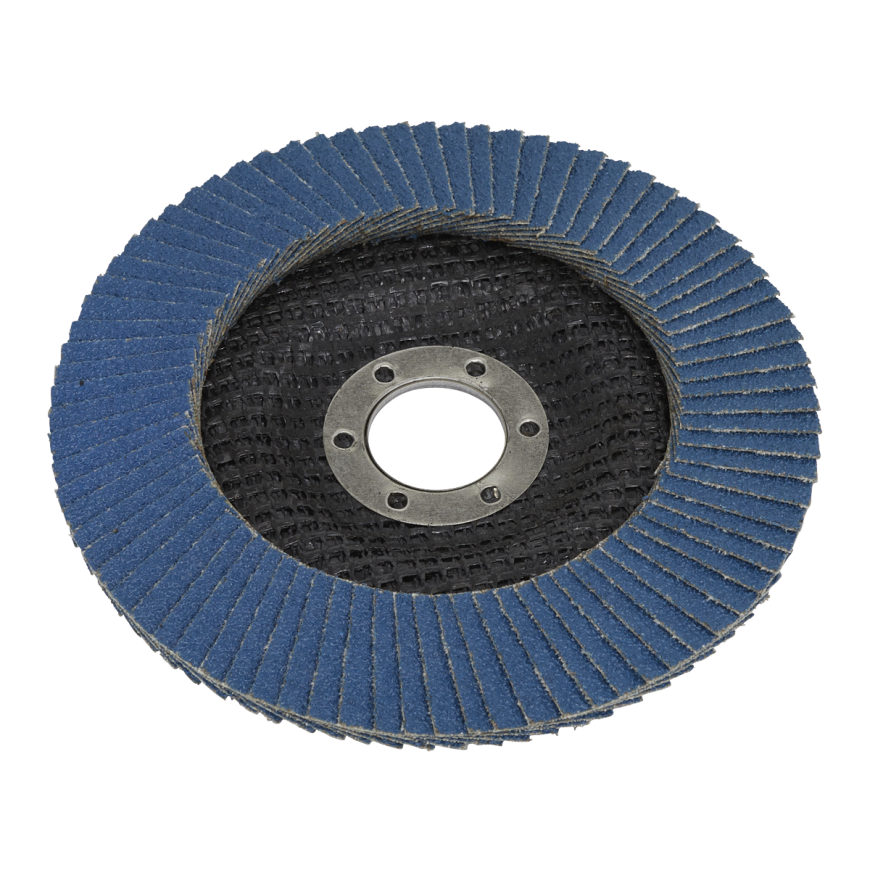 Flap Discs