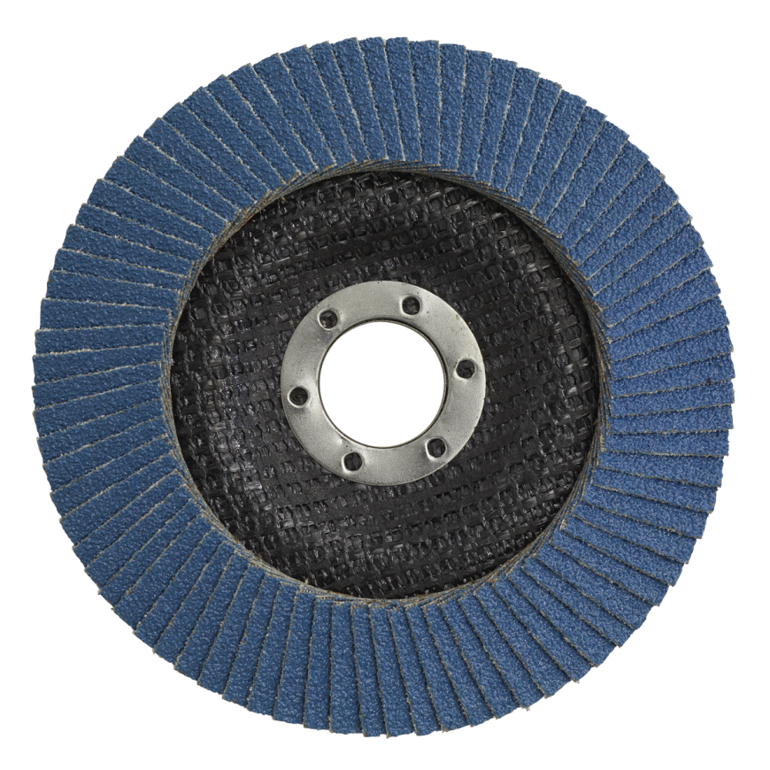 Flap Discs