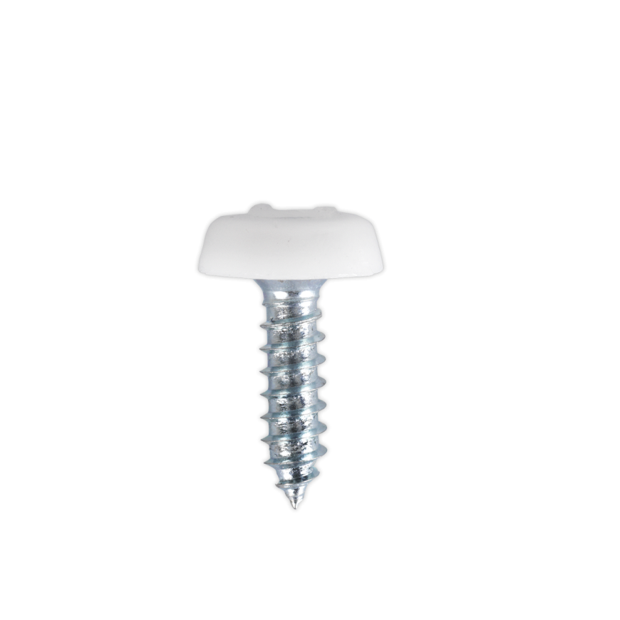 Screws & Fixings