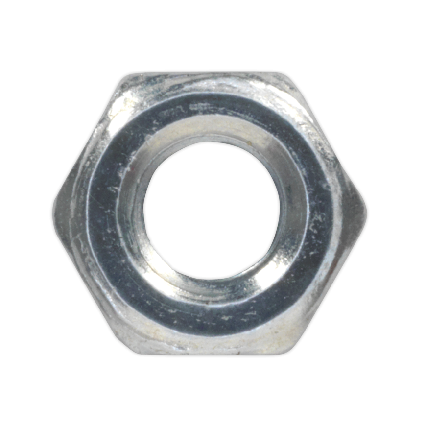 Steel Nuts - Metric