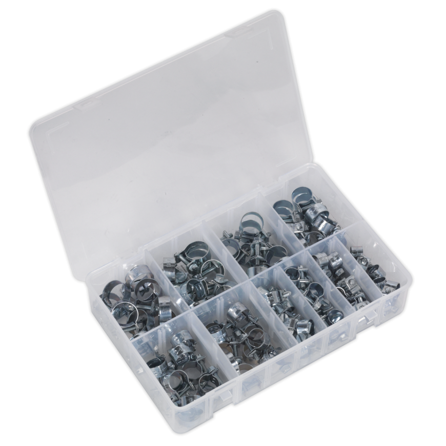 100pc Mini Hose Clip Assortment DIN 1.0338