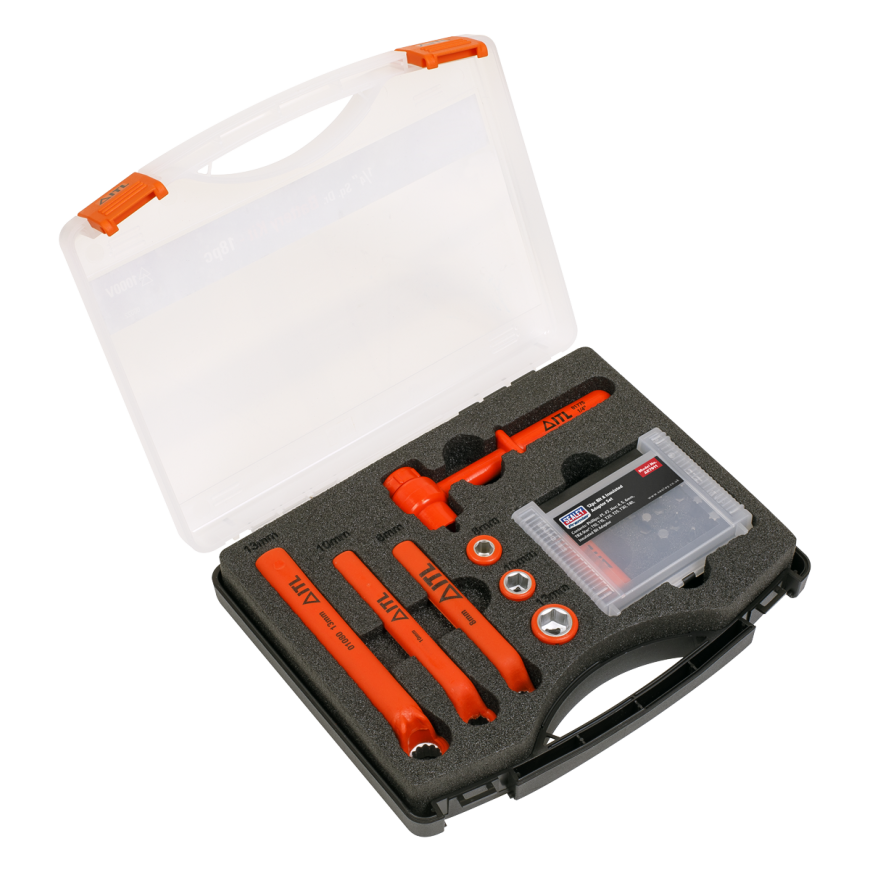 19pc Hybrid & Electric Vehicle Battery Tool Kit