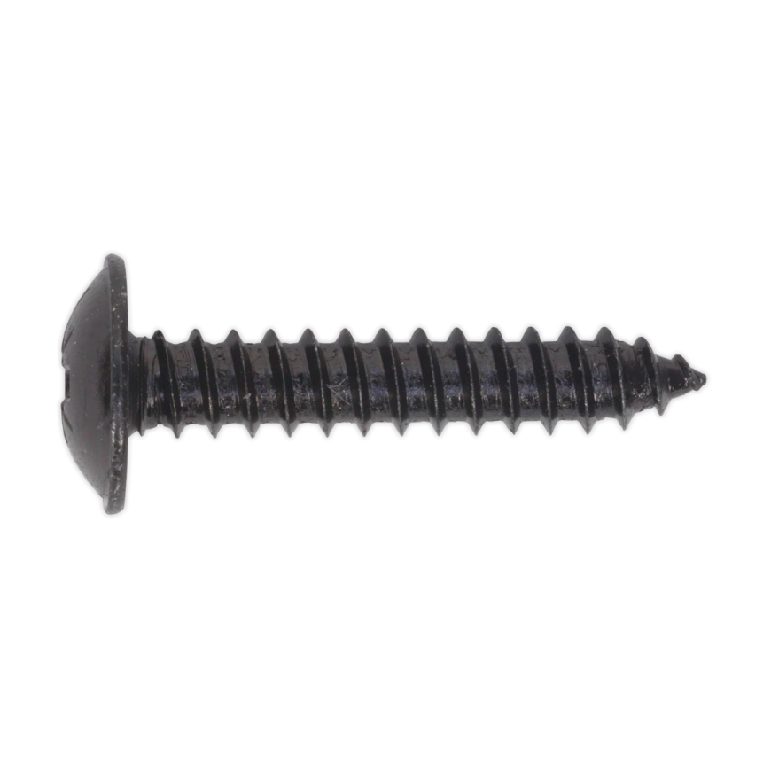 4.8 x 25mm Black Pozi Self-Tapping Flanged Head Screw - Pack of 100