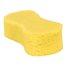 Large Sponge