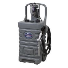 55L Mobile Dispensing Tank with Diesel Pump - Grey