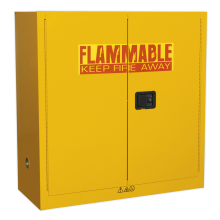 1095 x 460 x 1120mm Flammables Storage Cabinet