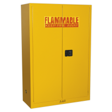 1095 x 460 x 1655mm Flammables Storage Cabinet