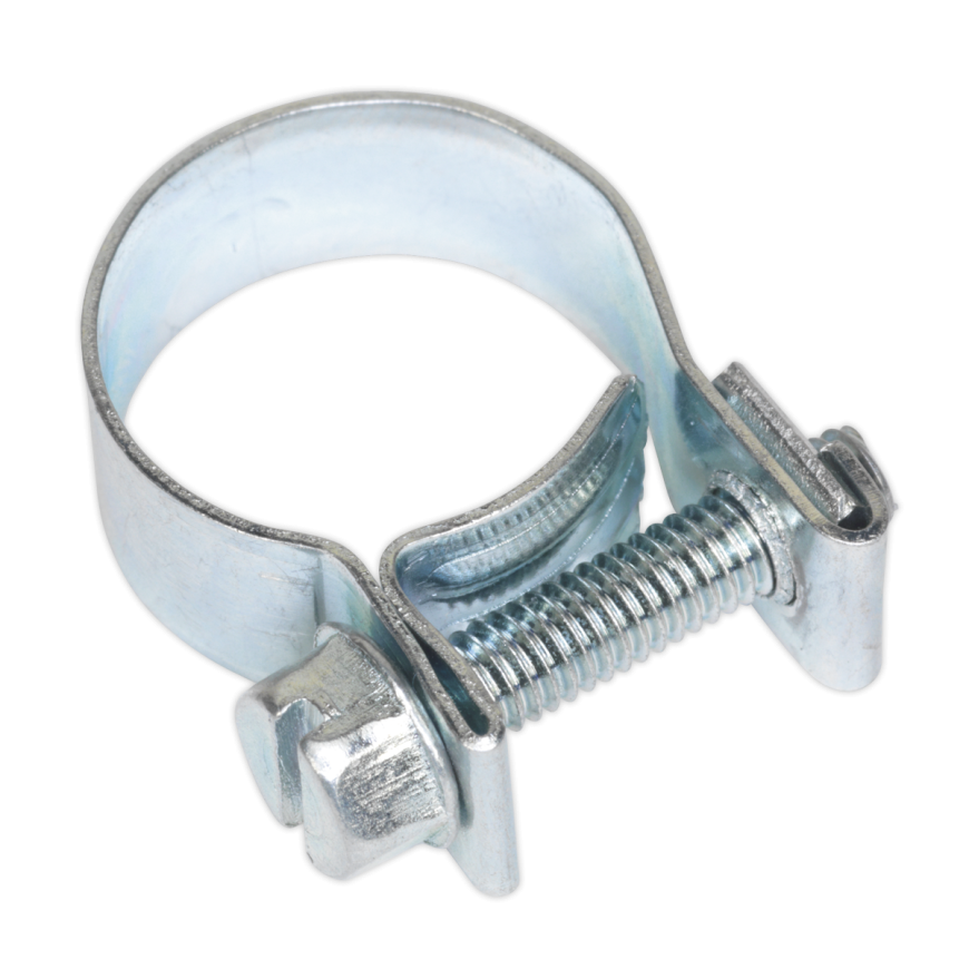 Ø15-17mm Mini Hose Clip - Pack of 20