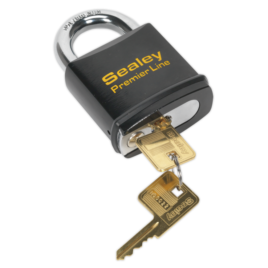 61mm Steel Body Padlock