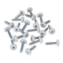 4.8 x 24mm White Numberplate Screw - Pack of 50