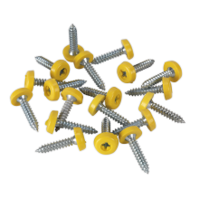 4.8 x 24mm Plastic Enclosed Head Yellow Numberplate Screw - Pack of 50