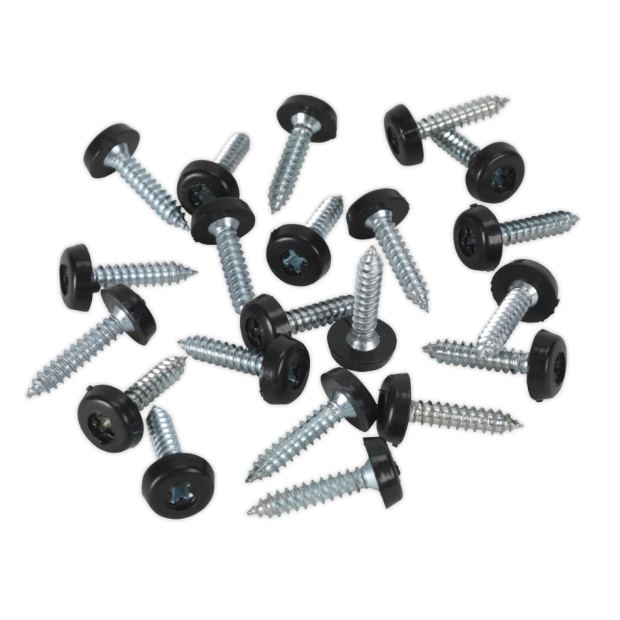 4.8 x 24mm Plastic Enclosed Head Black Numberplate Screw - Pack of 50