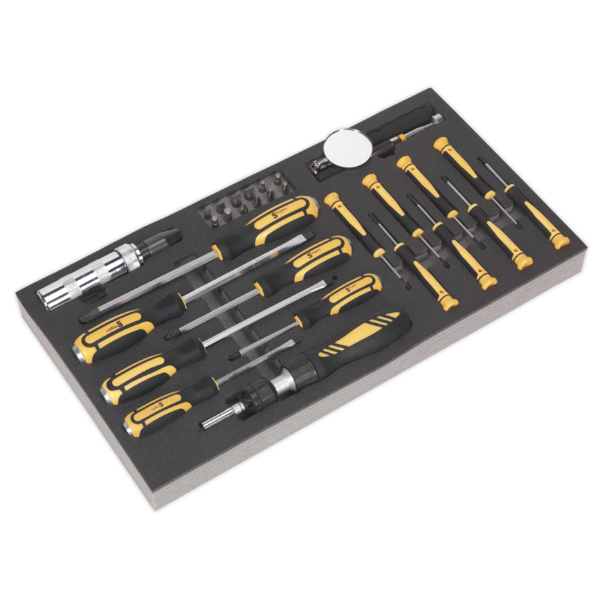 36pc Screwdriver Set with Tool Tray