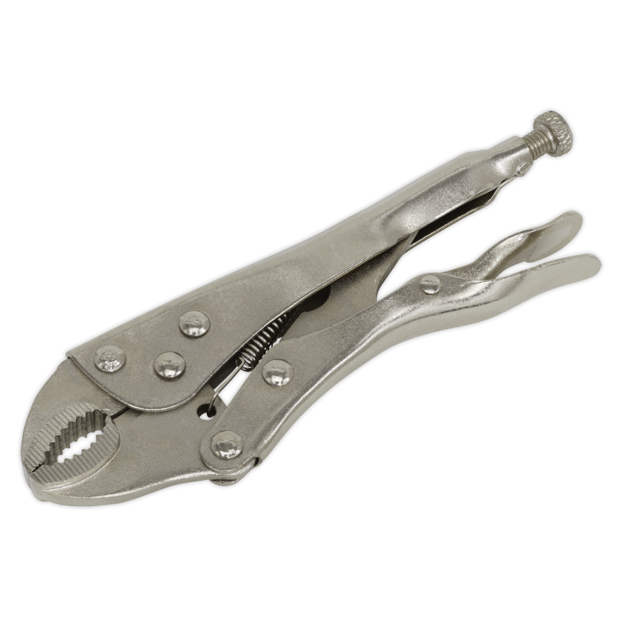 175mm Locking Pliers