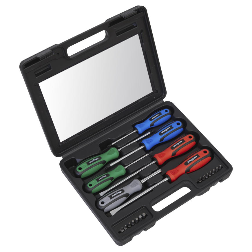 21pc Screwdriver Set with Storage Case