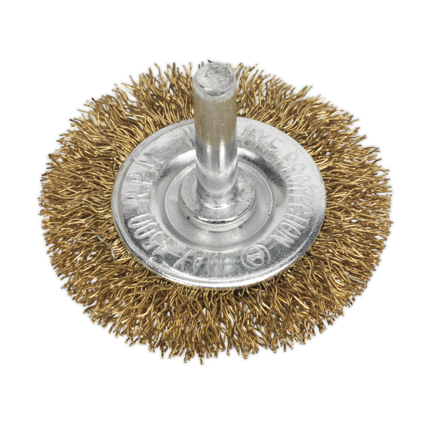 Ø50mm Flat Wire Brush with 6mm Shaft