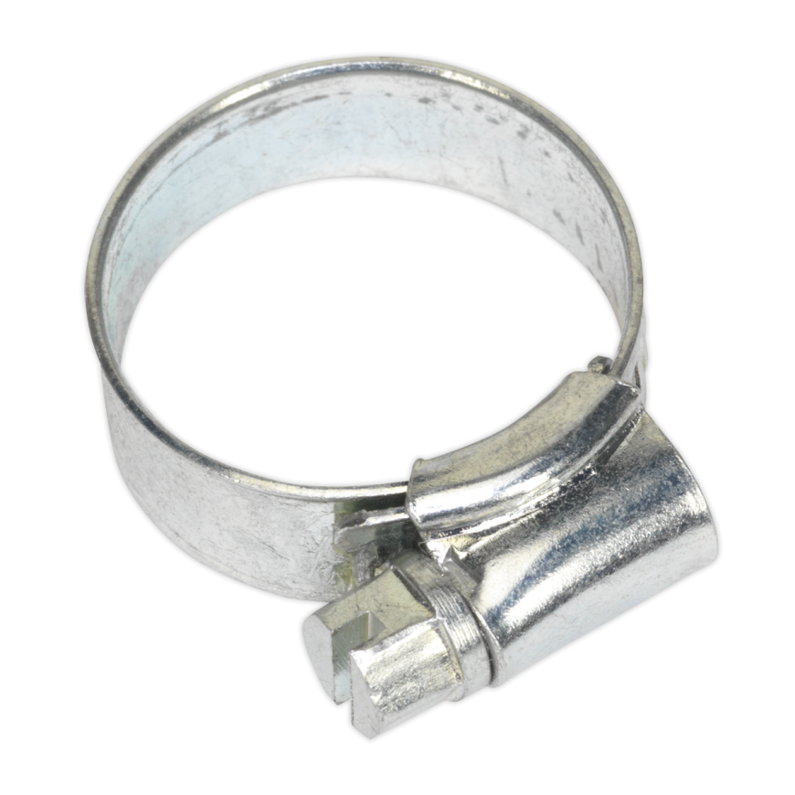 Ø16-22mm Zinc Plated Hose Clip - Pack of 30