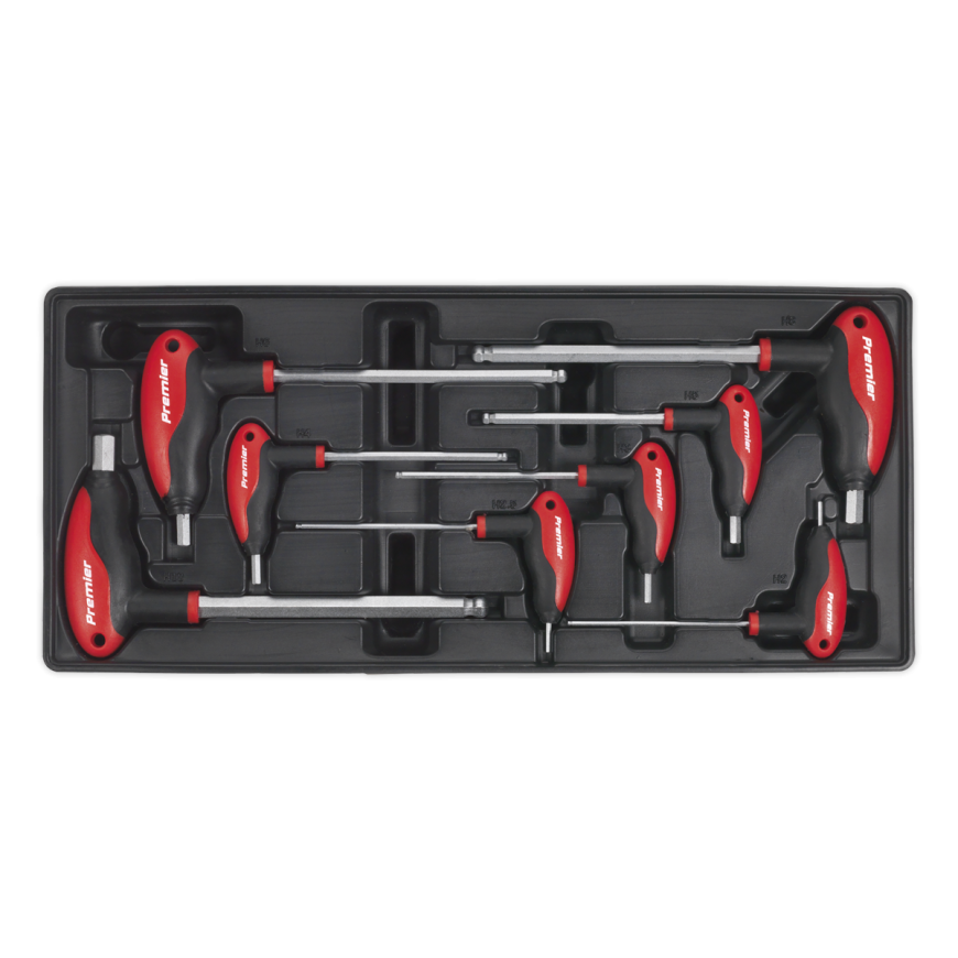 8pc T-Handle Ball-End Hex Key Set with Tool Tray