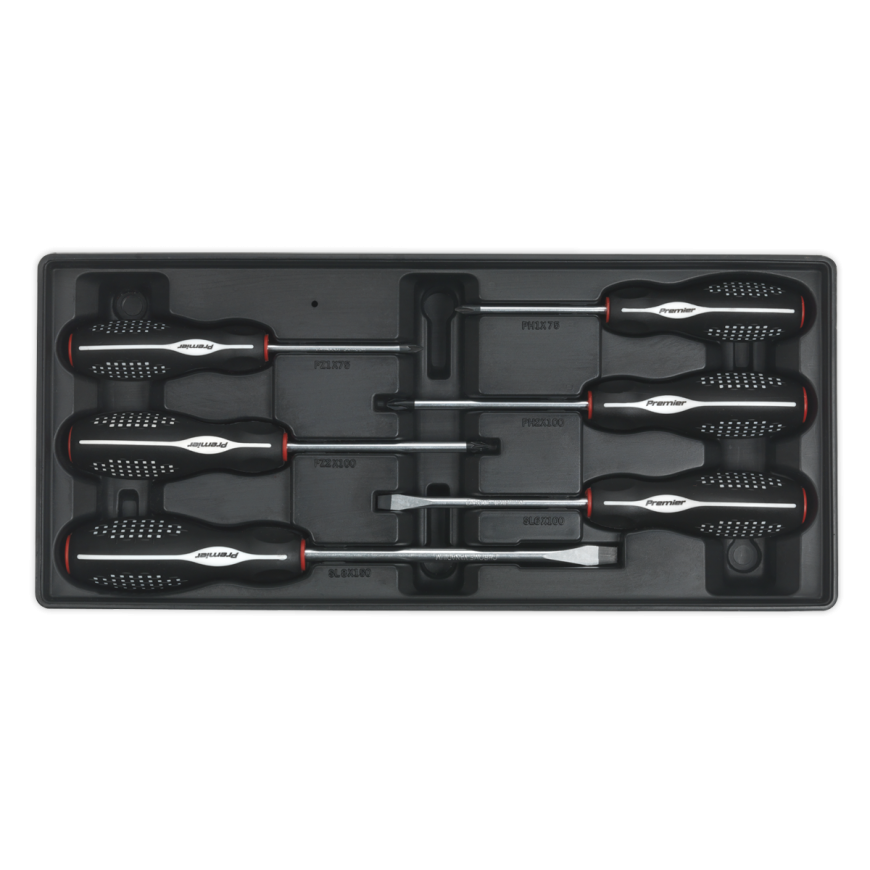 6pc Screwdriver Set with Tool Tray