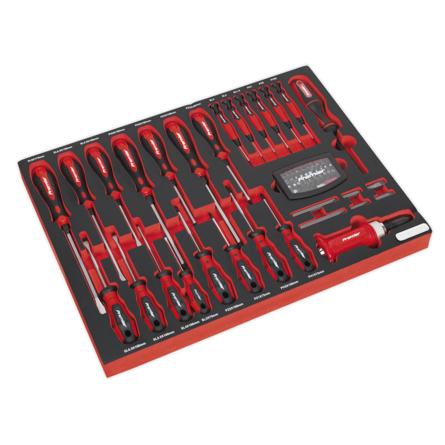 72pc Screwdriver Set with Tool Tray